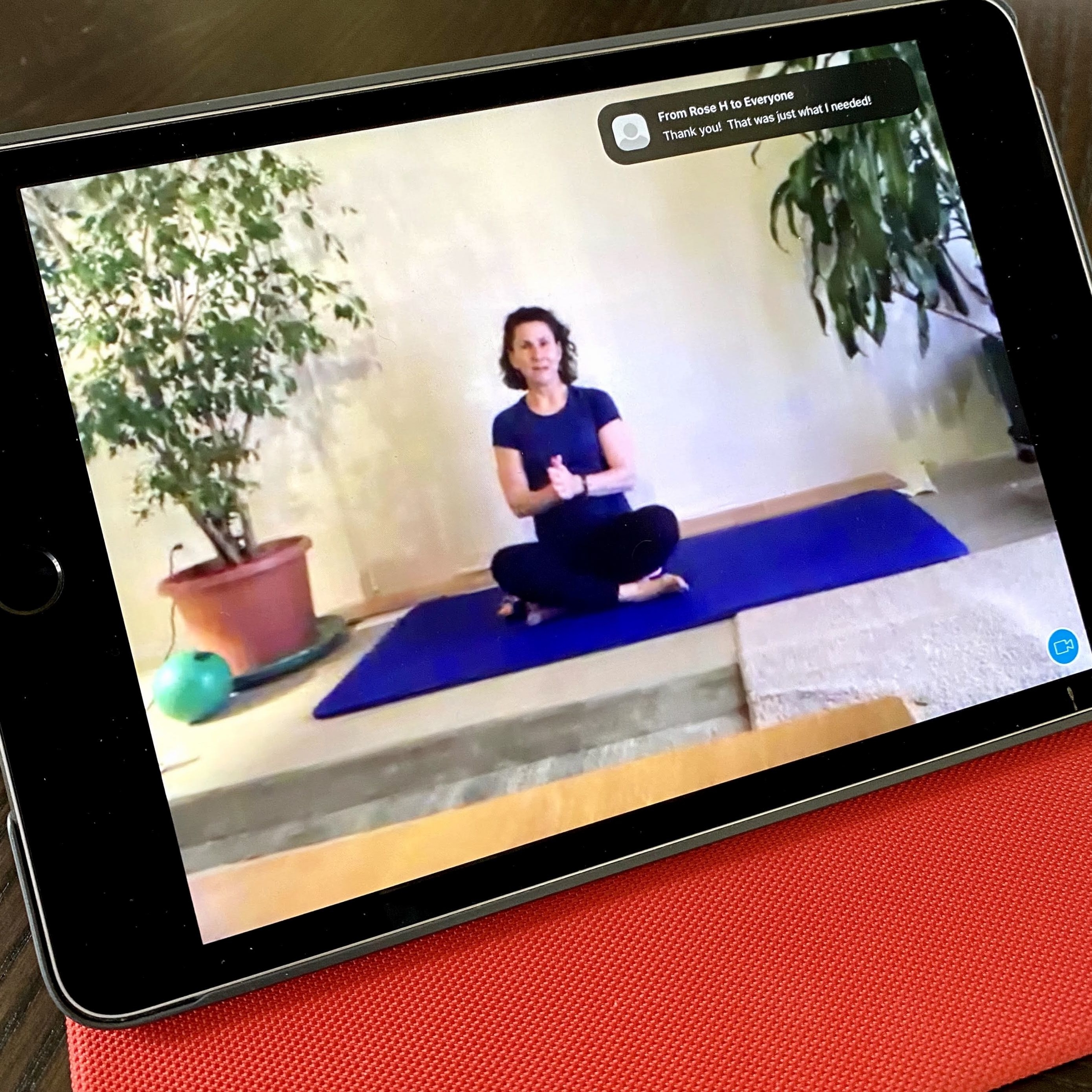 Pilates Instructor on Mat seen on iPad screen
